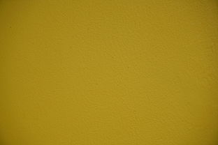 墙面石膏品牌测评标准与案例解析