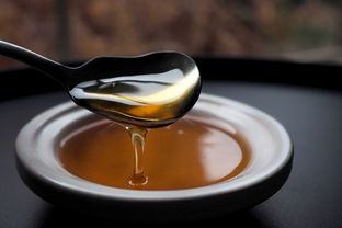 非转基因食用油品牌6，环保与健康的选择