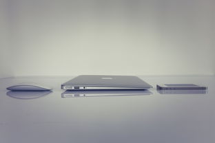 盘点办公鼠标品牌产品，选对鼠标，提升办公效率不是梦！