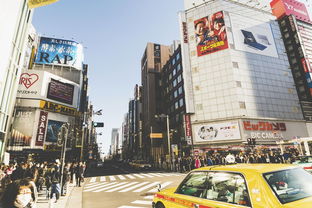 丰城市品牌门窗店案例分享
