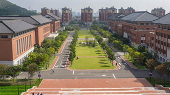 马尾舞蹈学校加盟指南，开启舞蹈教育新旅程