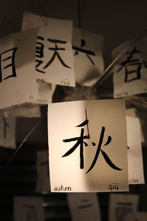 打造校园书法文化品牌，传承中华书法艺术之美