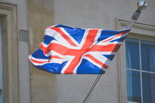 英国进口墙面挂件品牌推荐
