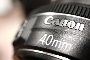 Canon相机选购指南