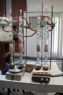 水分测量仪品牌盘点与案例分析