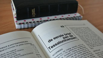 我国的坚果品牌排名及案例分析
