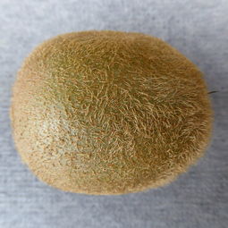铲子硅胶品牌排行前十名