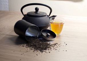 揭秘佳能水杯品牌，时尚与健康的生活伴侣