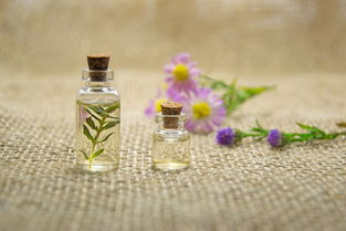 按摩奶嘴推荐，女士专用按摩奶嘴品牌推荐