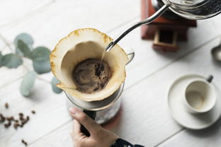 奈雪齐名的奶茶品牌大盘点