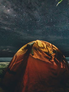 探索台山吊顶的璀璨星空—一线品牌的荣耀之旅
