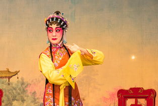 教师穿着汉服指南—适合的汉服品牌与选择建议