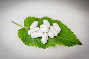 新品牌国产奶茶大盘点