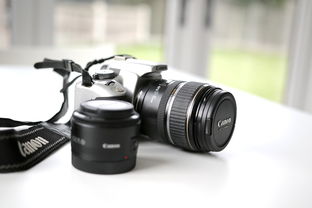 Canon相机品牌解析与案例分享