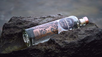 西餐酒类推荐，品味经典与创新