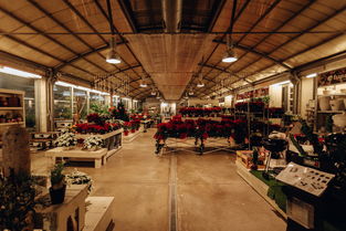 西安市品牌玩具有推荐—探秘市场中的优质选择